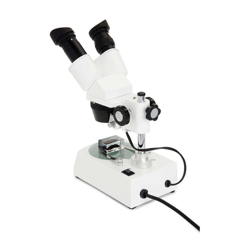 Celestron Microscope Stéréo Labs S10-60