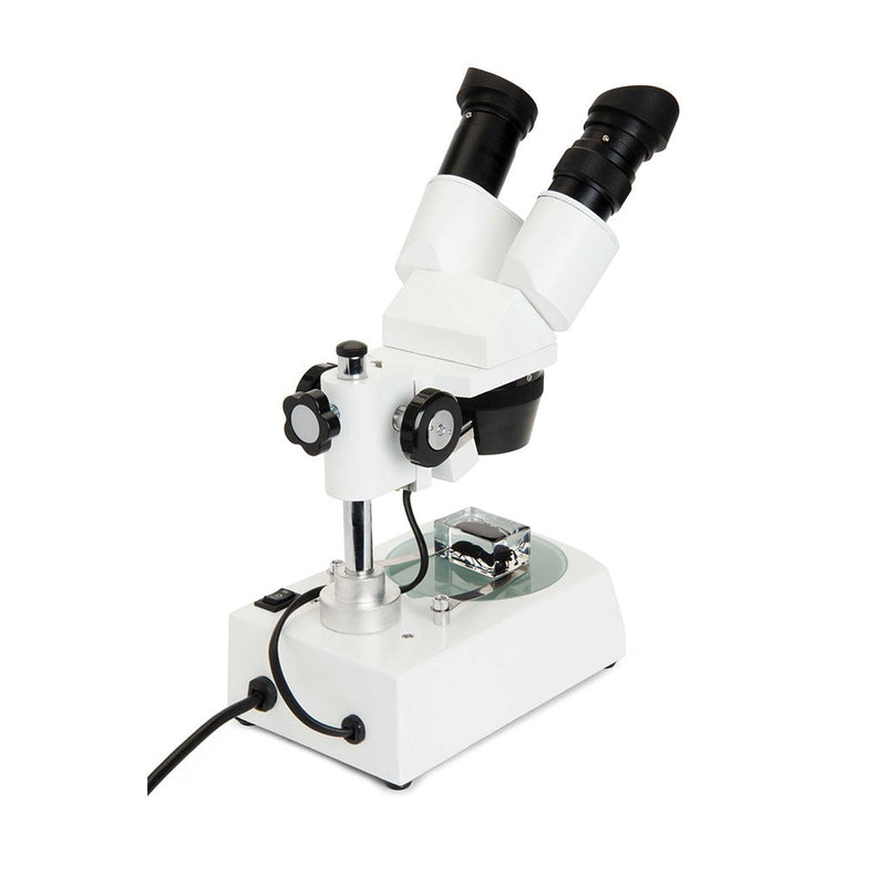 Celestron Microscope Stéréo Labs S10-60