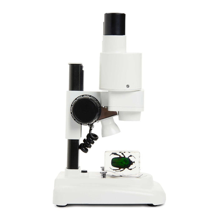 Celestron Labs S20 Stereo Microscope