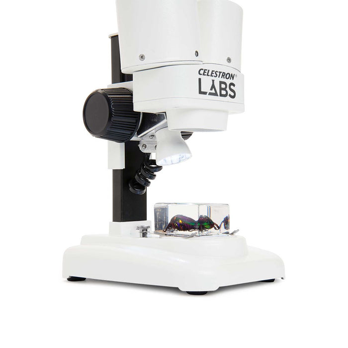 Celestron Microscope Stéréo Labs S20