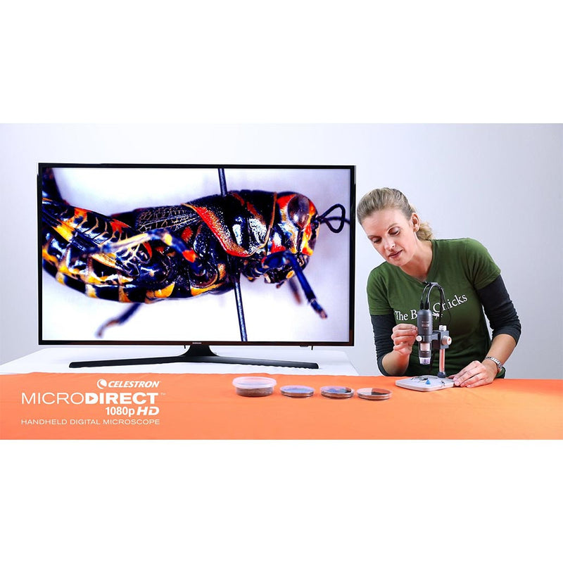 Celestron Microscope Numérique Portable MicroDirect 1080P HDMI