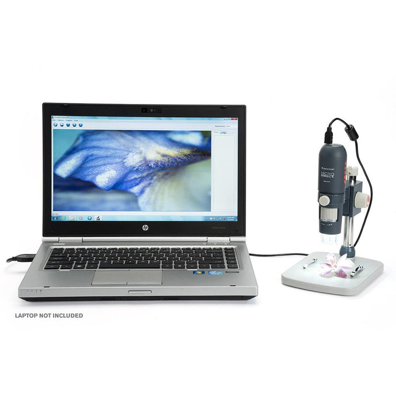 Celestron Microscope Numérique Portable MicroDirect 1080P HDMI