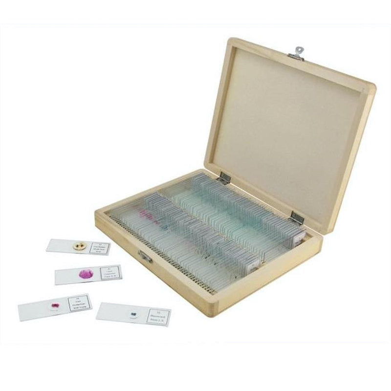 Celestron Kit de Lames Préparées pour Microscope - 100 pièces