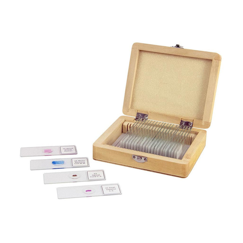 Celestron Kit de Lames Préparées pour Microscope - 25 pièces